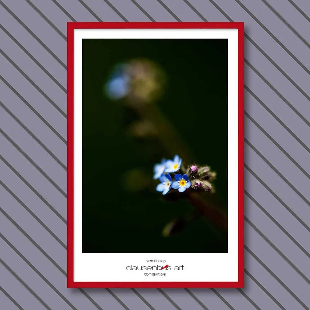 a-small-beauty-copy.jpg