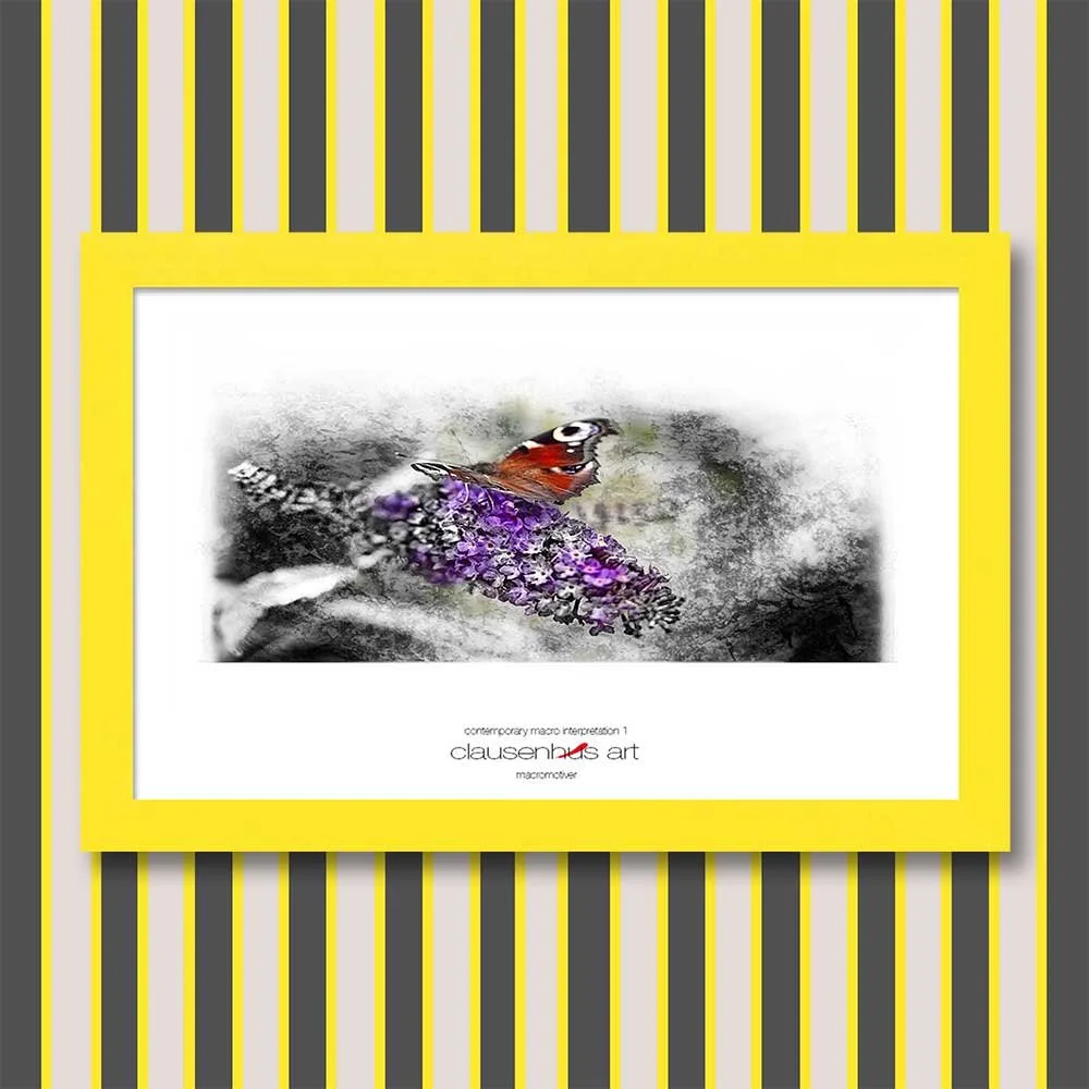 contemporary-macro-interpretation-1-copy.jpg