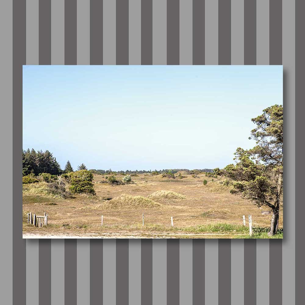 title: skallerup inland dunes 1