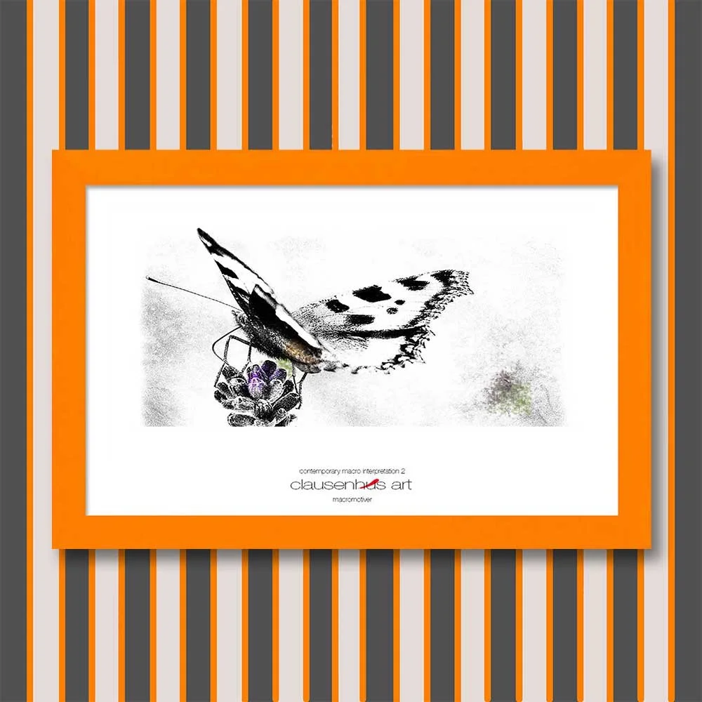 contemporary-macro-interpretation-2-copy.jpg