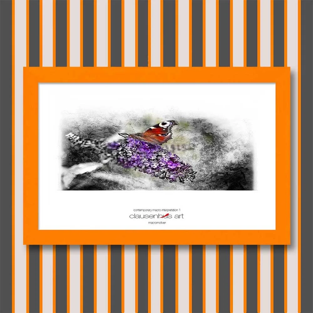 contemporary-macro-interpretation-1-copy.jpg