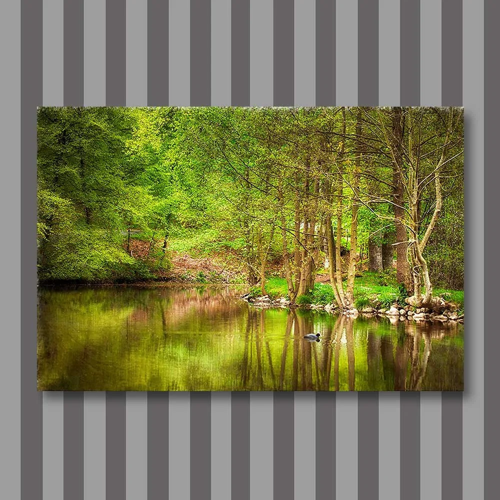 spring lake.jpg