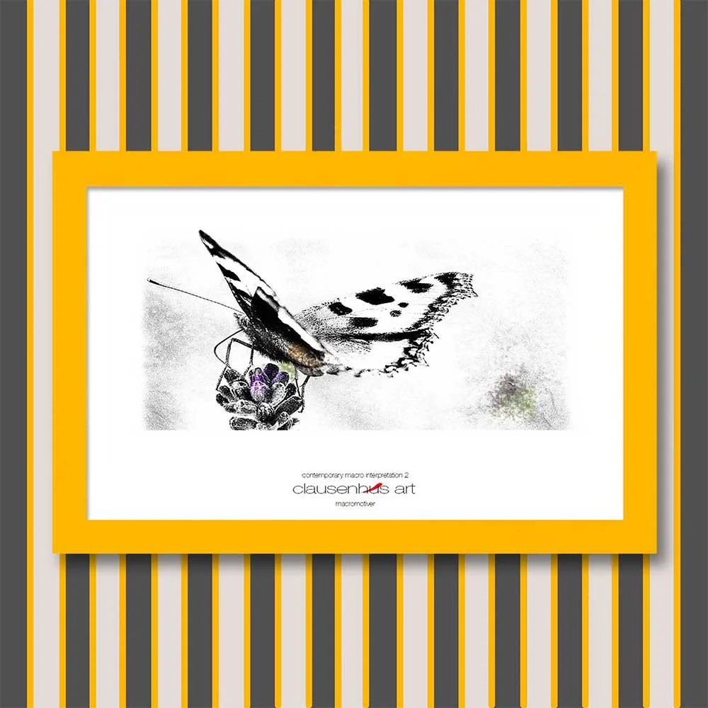contemporary-macro-interpretation-2-copy.jpg