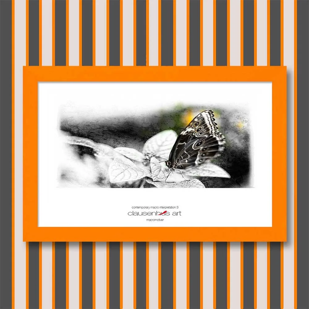 contemporary-macro-interpretation-3-copy.jpg