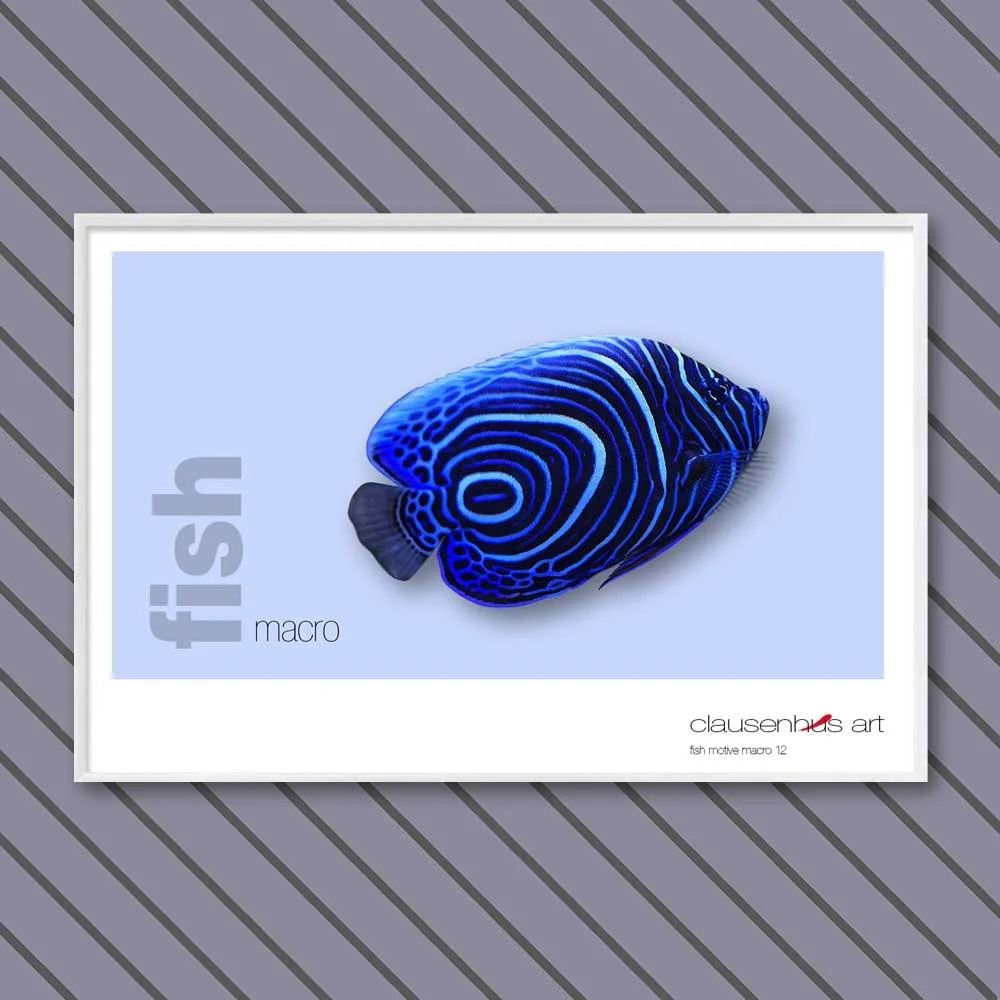 fish 12.jpg