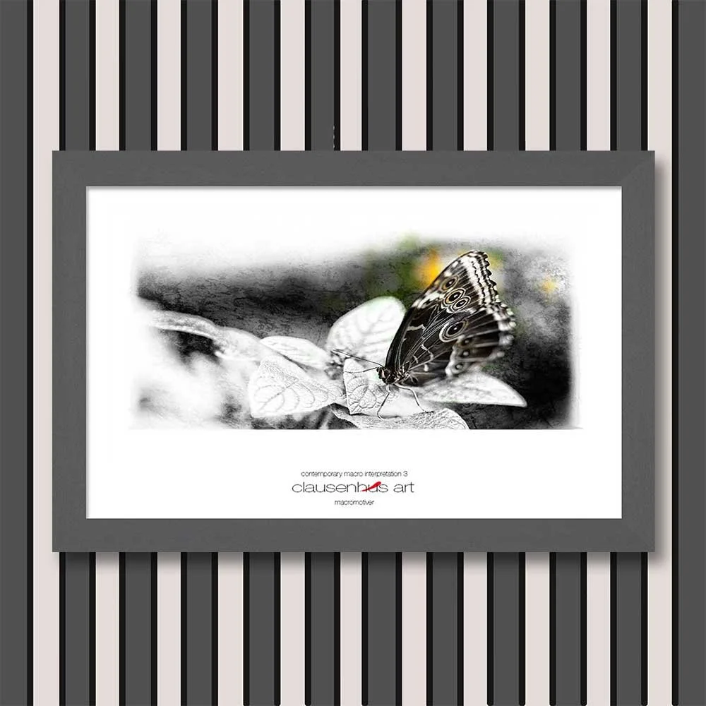 contemporary-macro-interpretation-3-copy.jpg