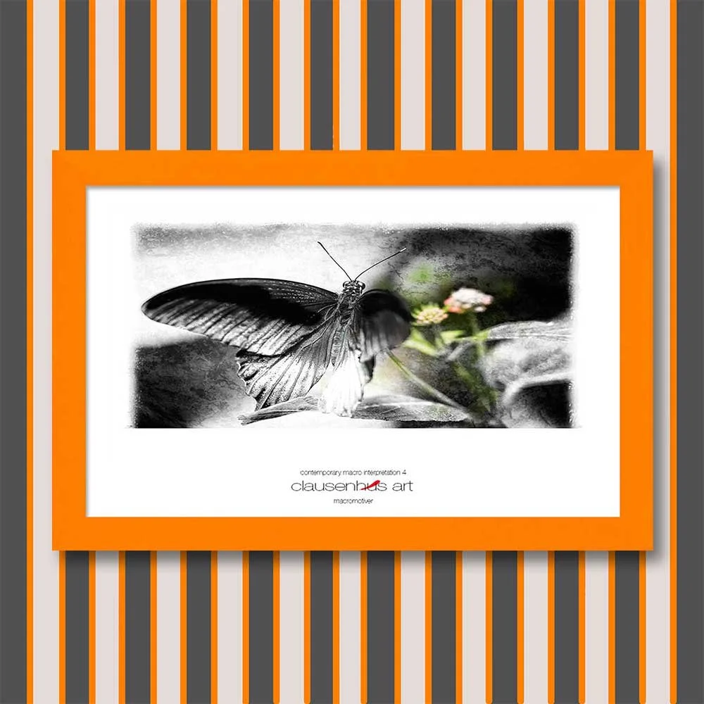 contemporary-macro-interpretation-4-copy.jpg