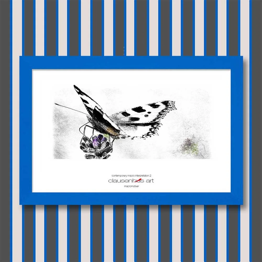 contemporary-macro-interpretation-2-copy.jpg