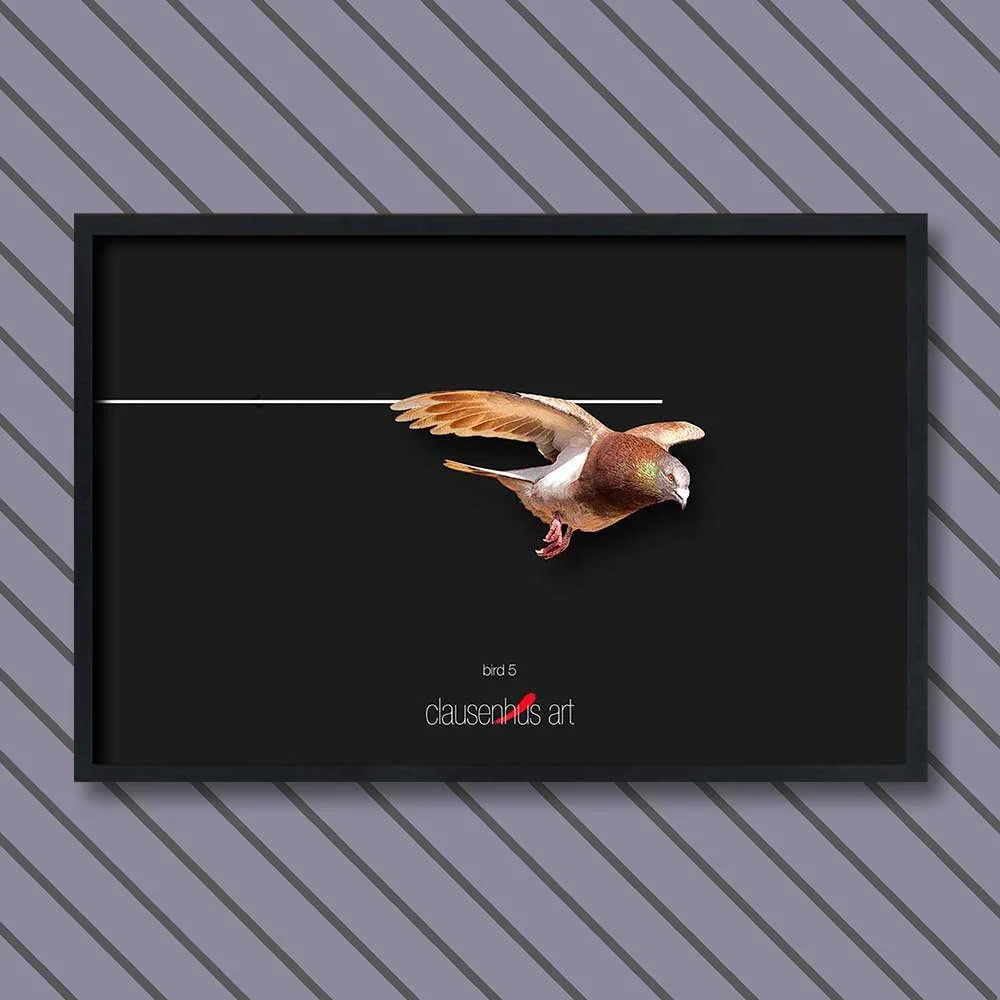 bird-5.jpg