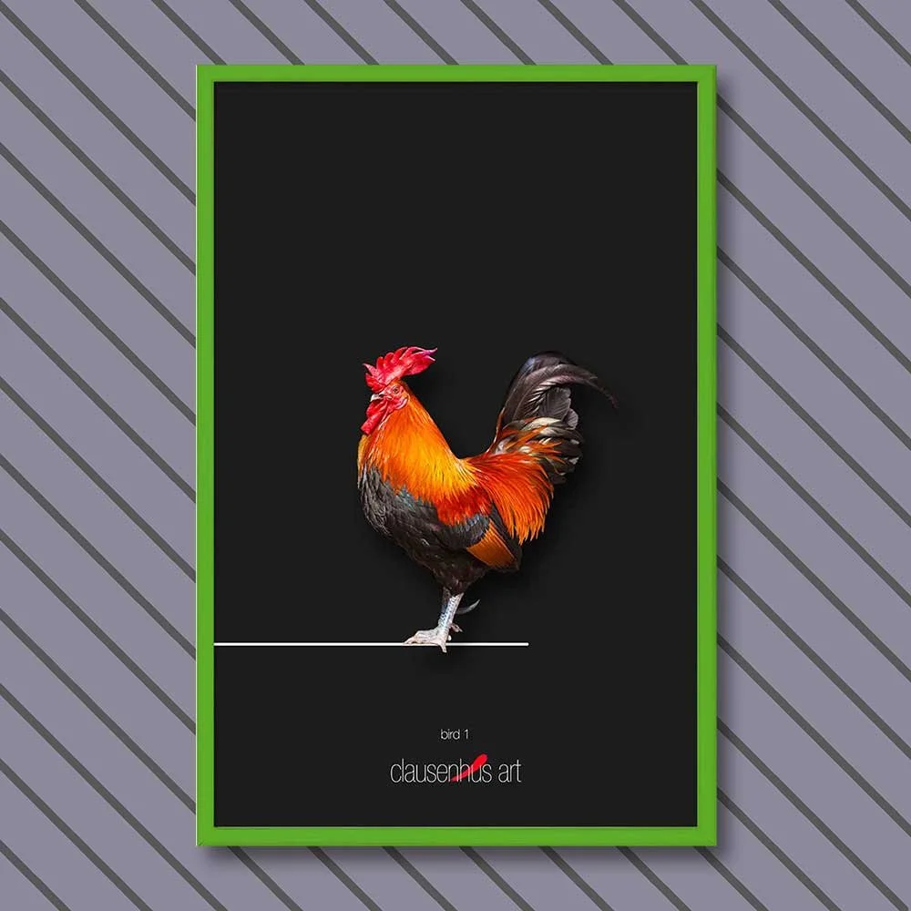 bird-1-copy.jpg