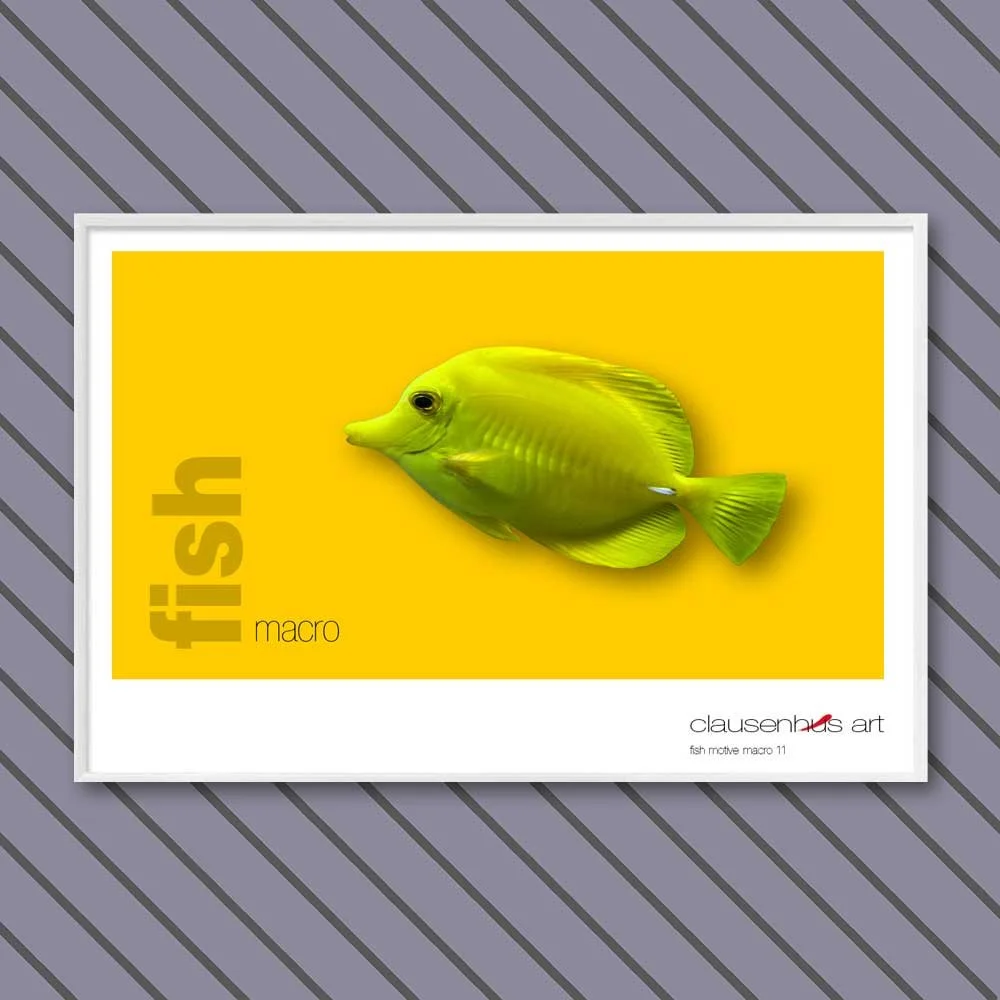fish 11.jpg