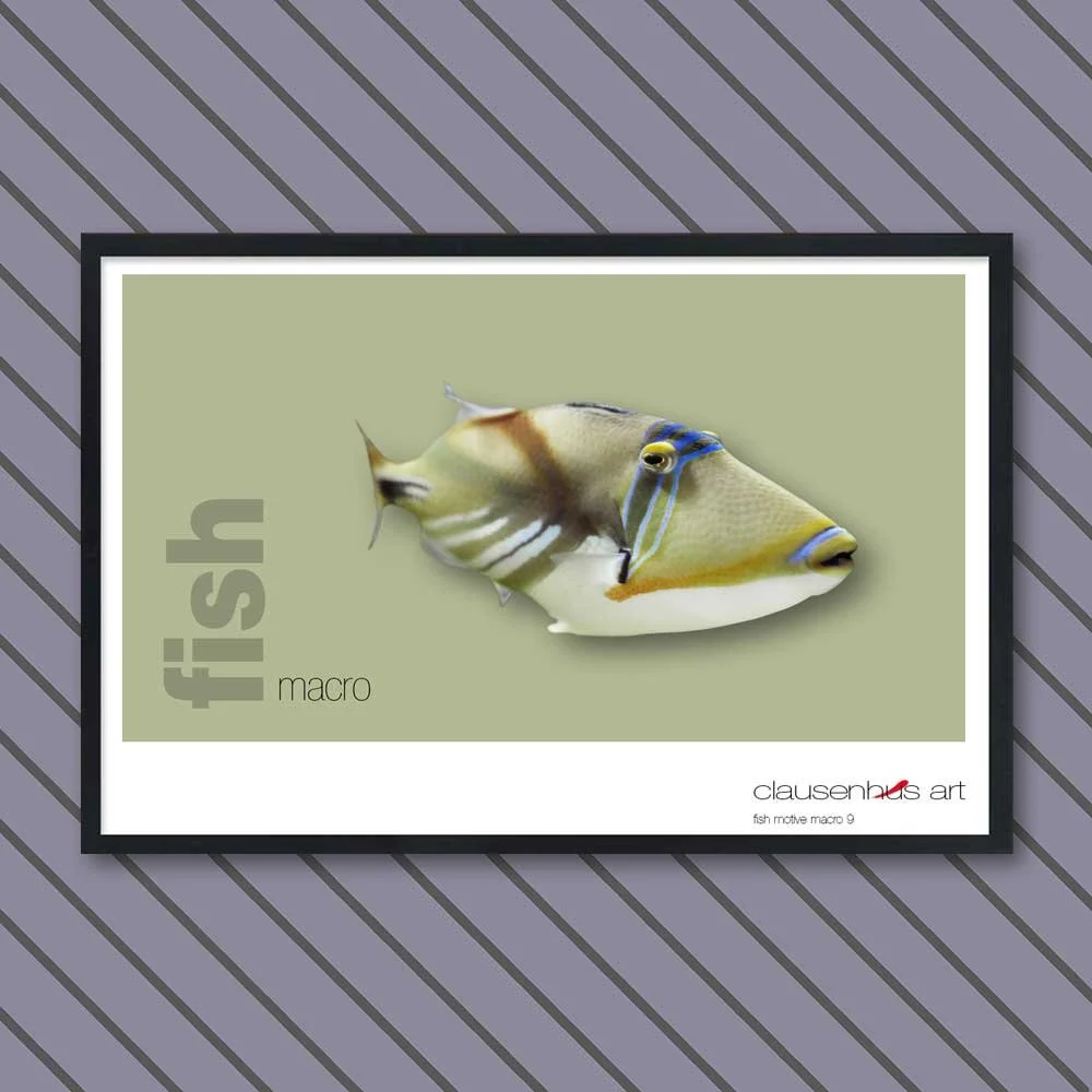 fish 9.jpg