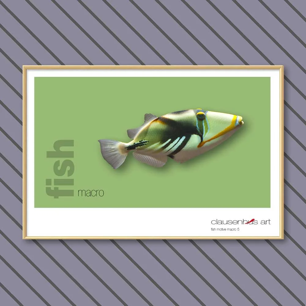 fish 5.jpg