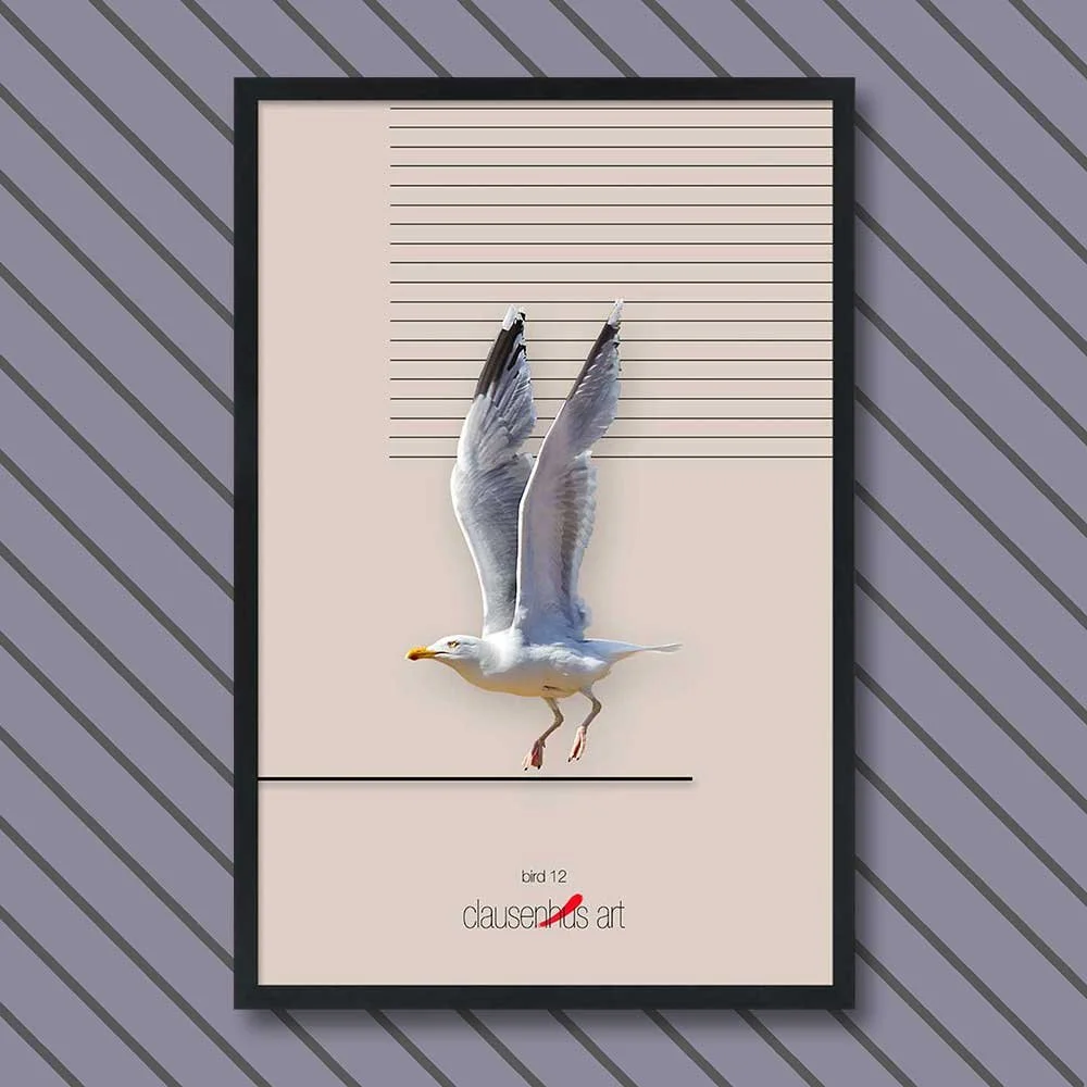 bird-12.jpg