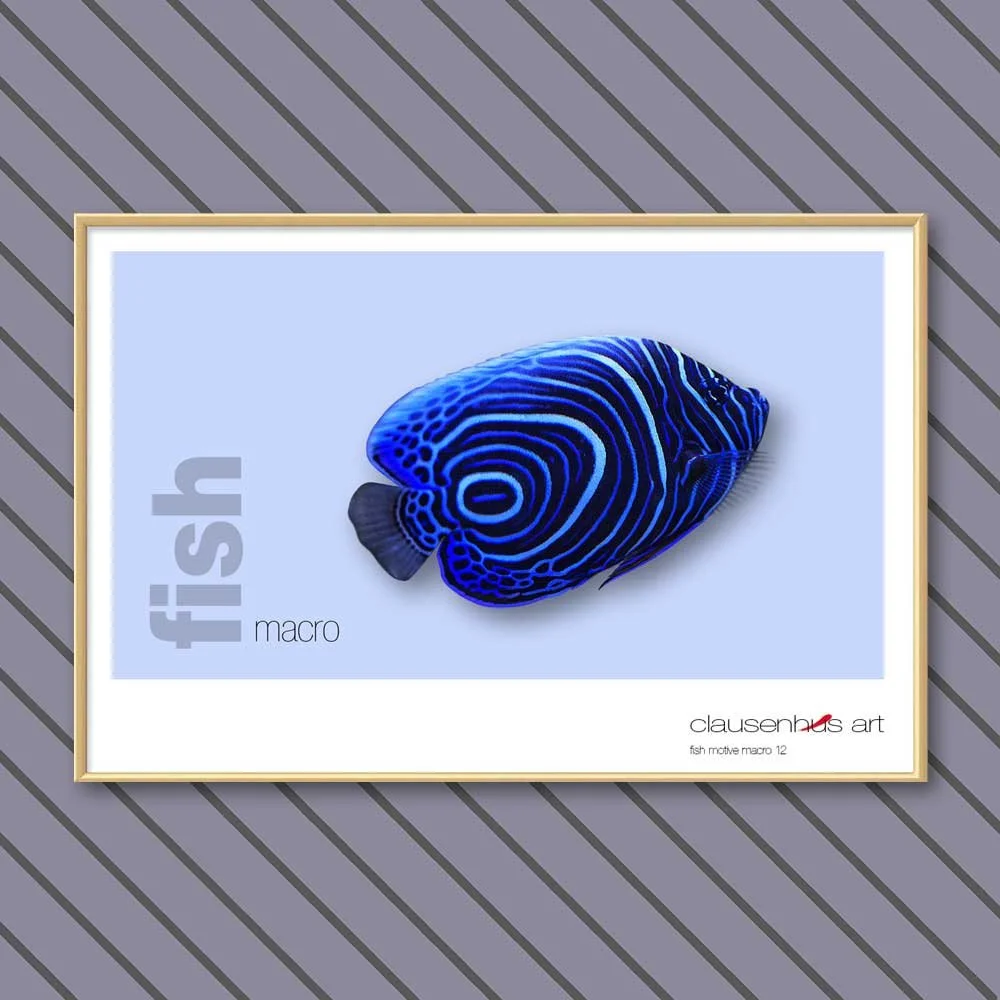 fish 12.jpg
