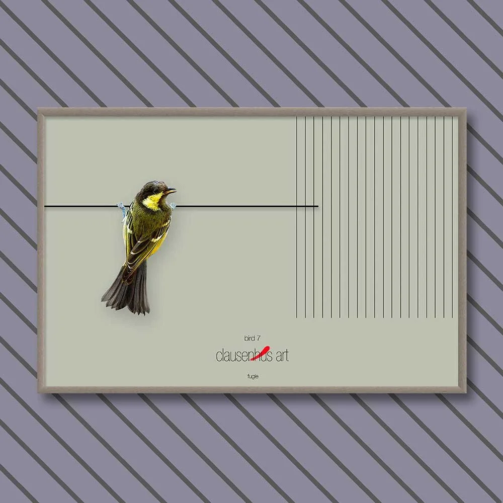 bird-7-copy.jpg