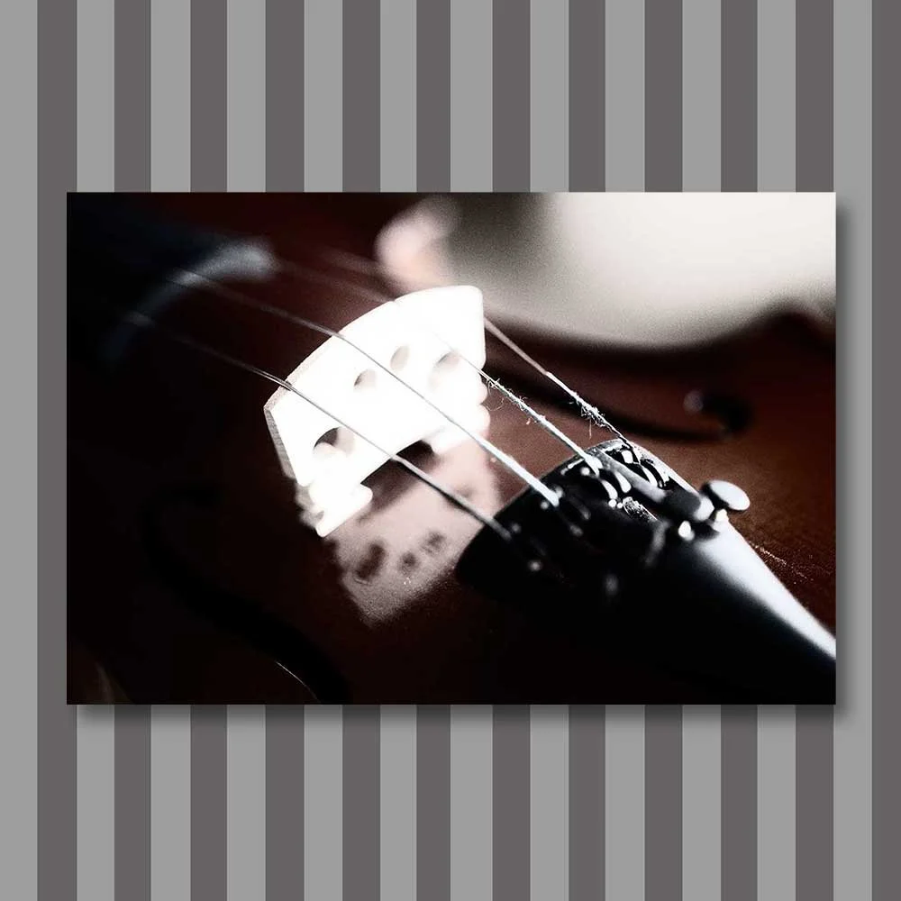 the image of music 3.jpg