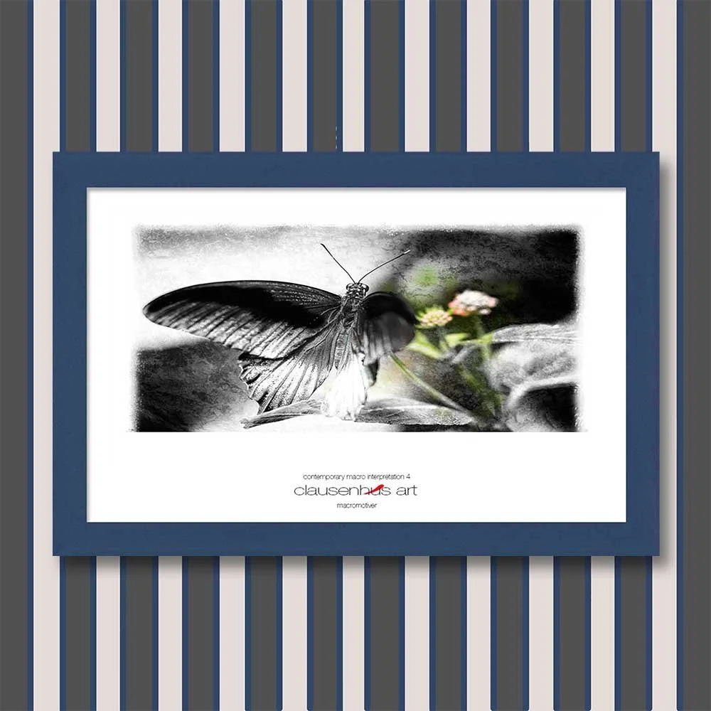 contemporary-macro-interpretation-4-copy.jpg