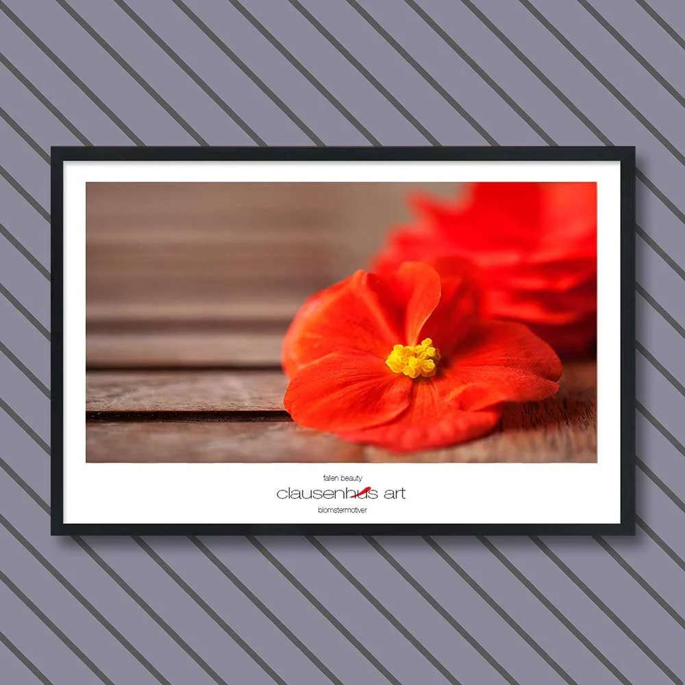 fallen-beauty-copy.jpg