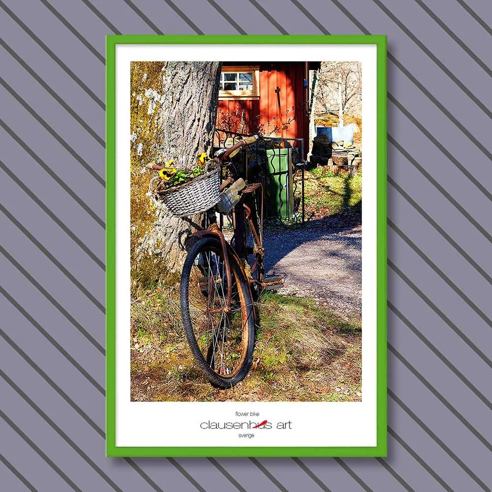 flower-bike-copy.jpg