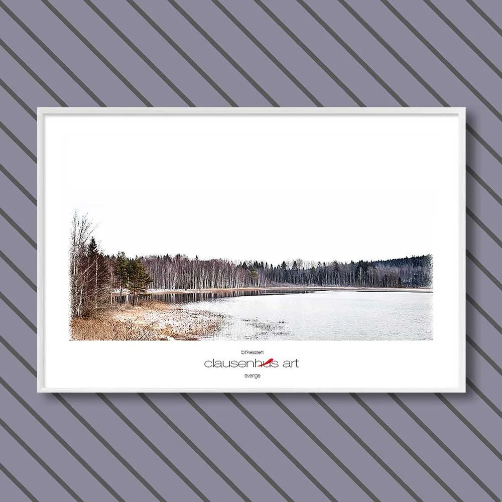 the birch lake.jpg