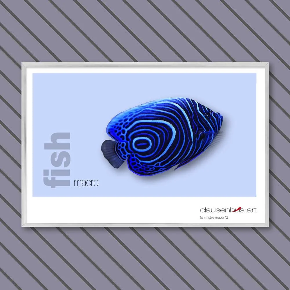 fish 12.jpg