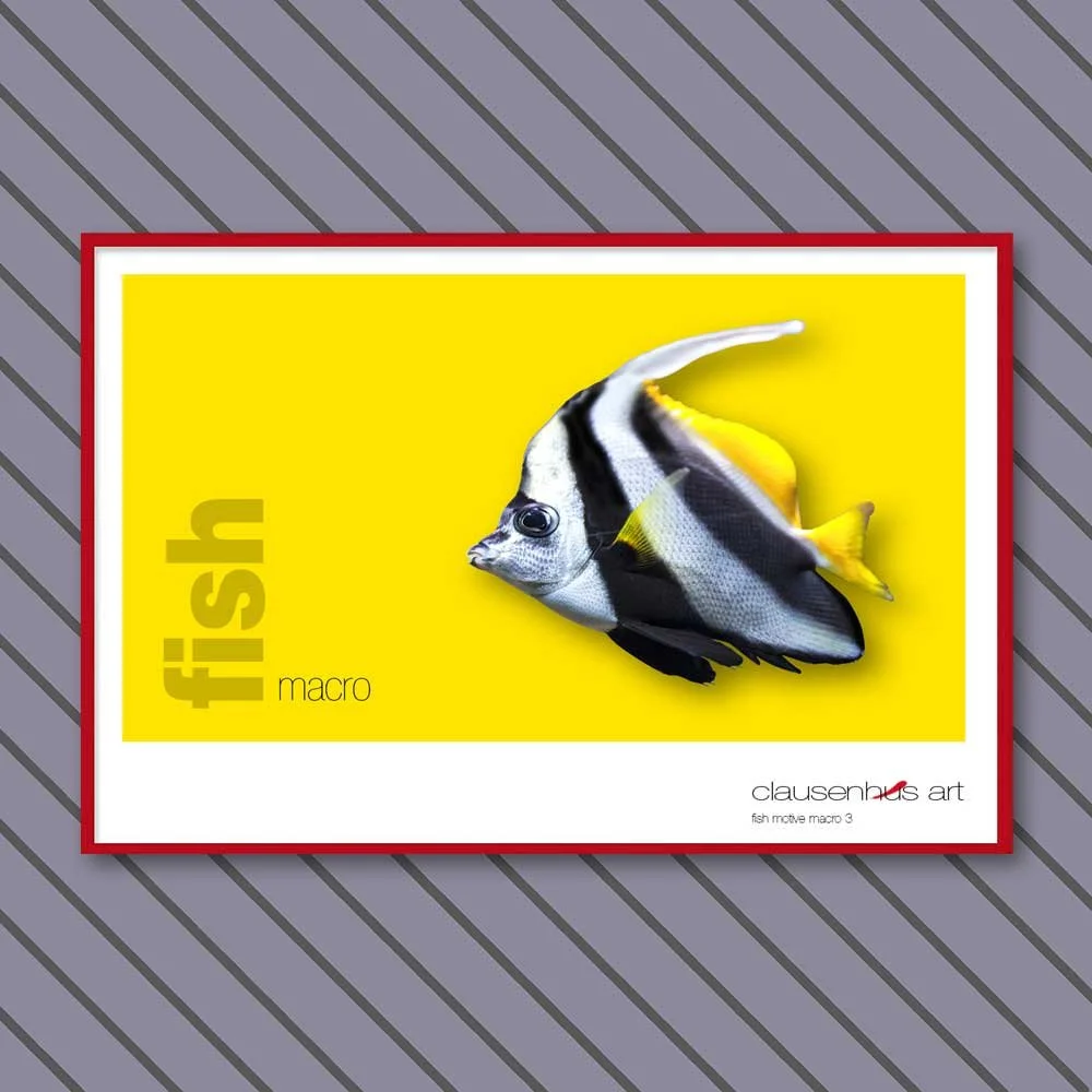fish 3.jpg