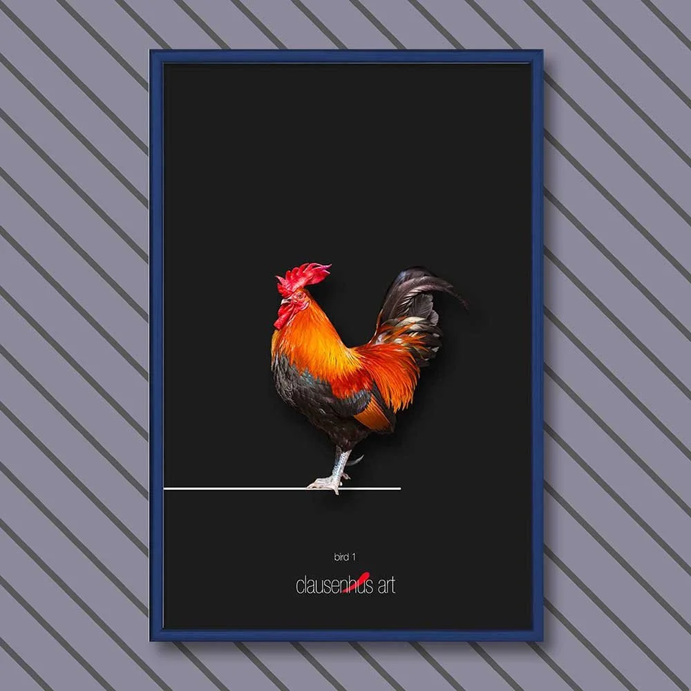 bird-1-copy.jpg