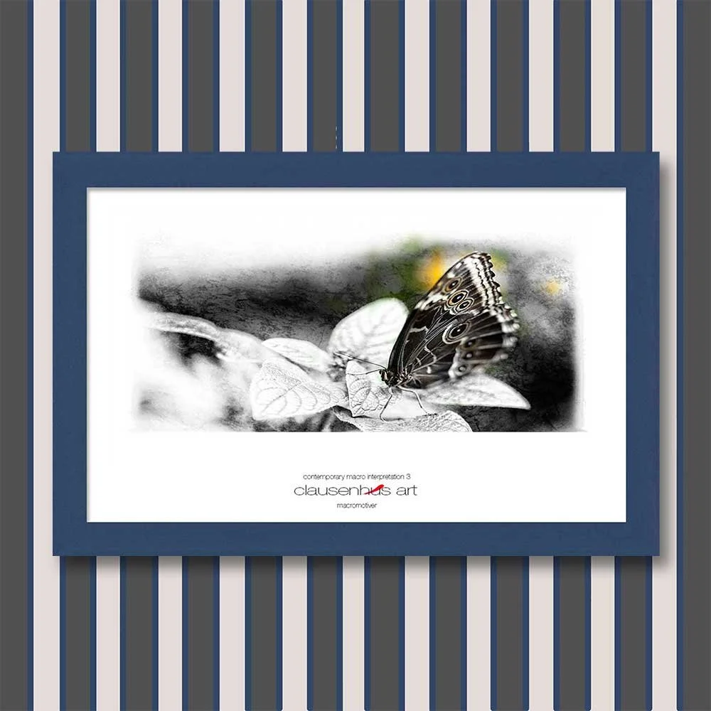 contemporary-macro-interpretation-3-copy.jpg