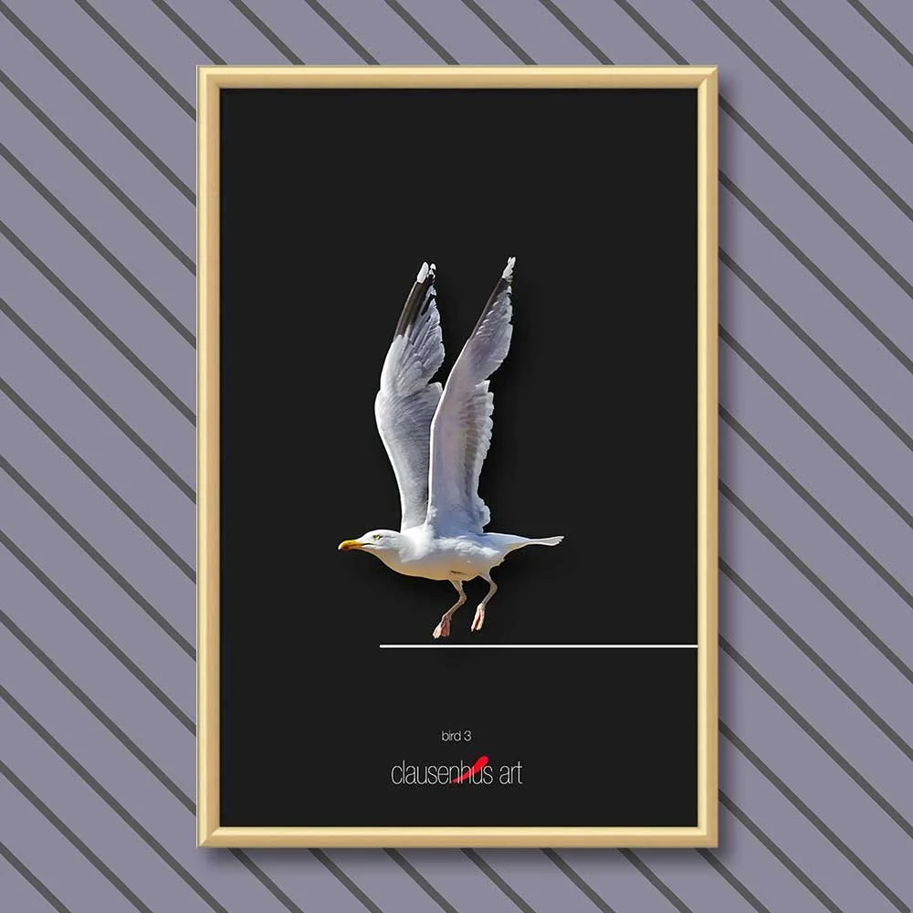 bird-3-copy.jpg
