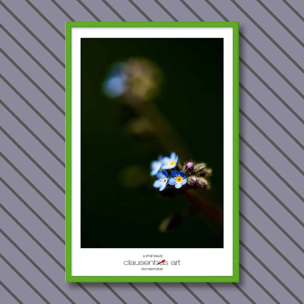 a-small-beauty-copy.jpg
