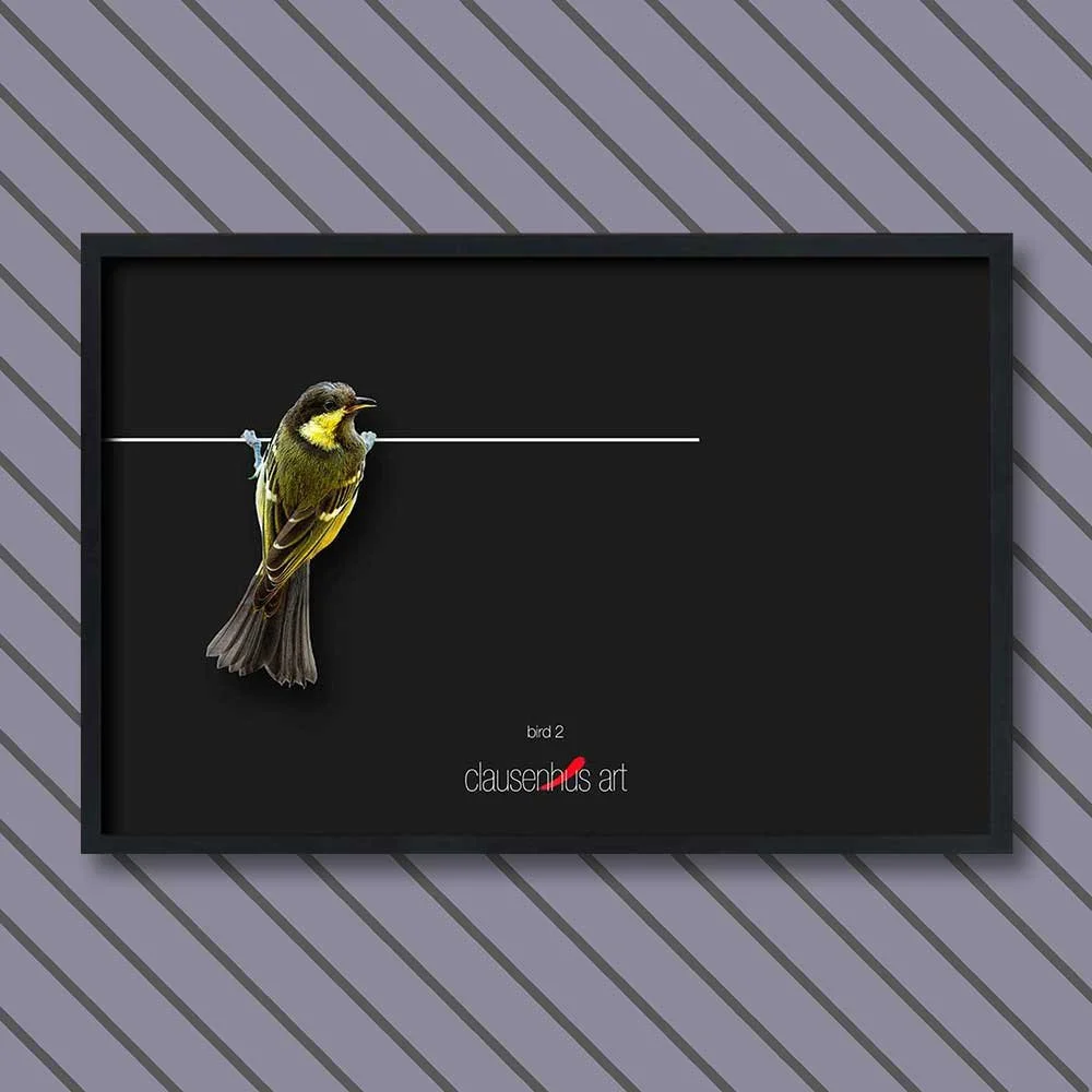 bird-2.jpg