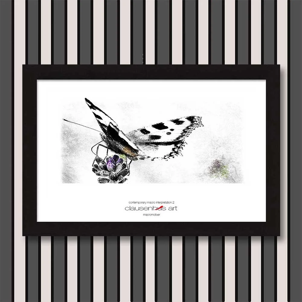 contemporary-macro-interpretation-2-copy.jpg