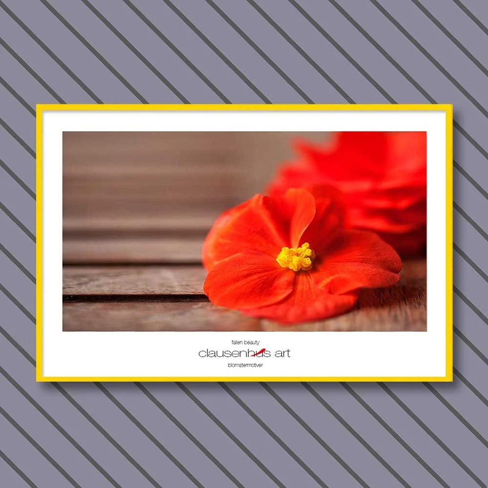 fallen-beauty-copy.jpg