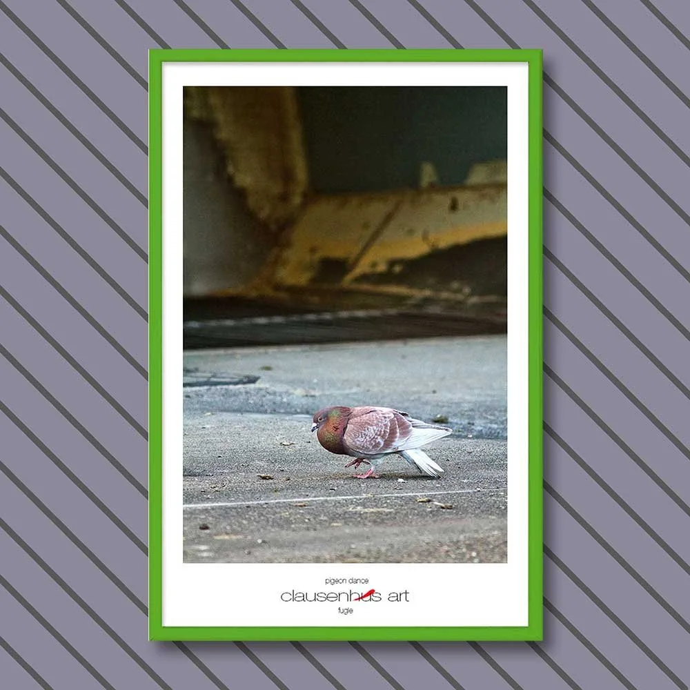 pigeon-dance-copy.jpg