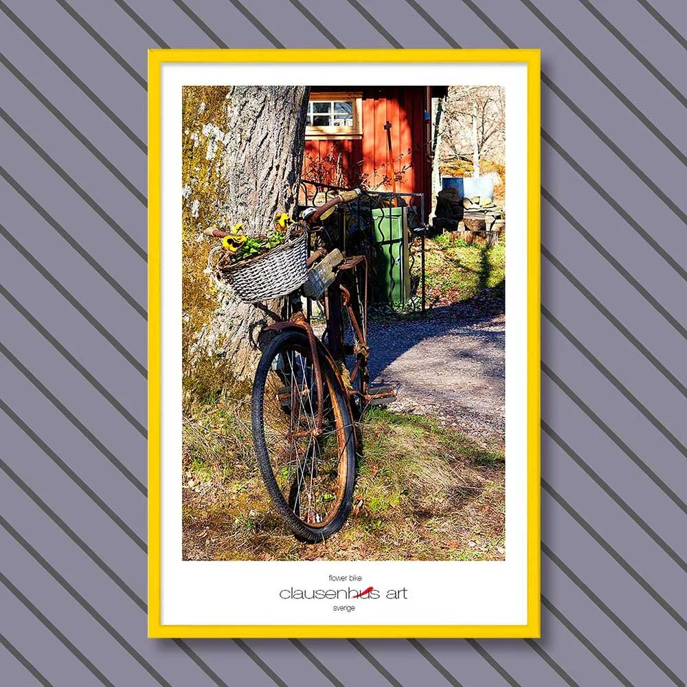 flower-bike-copy.jpg