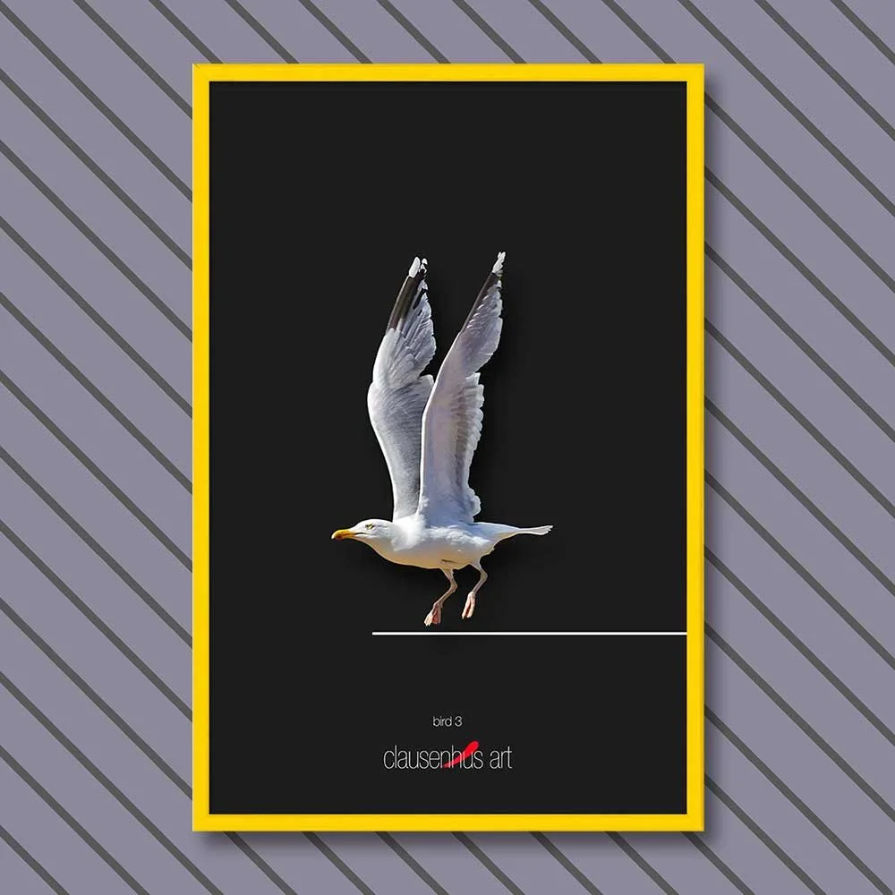 bird-3-copy.jpg