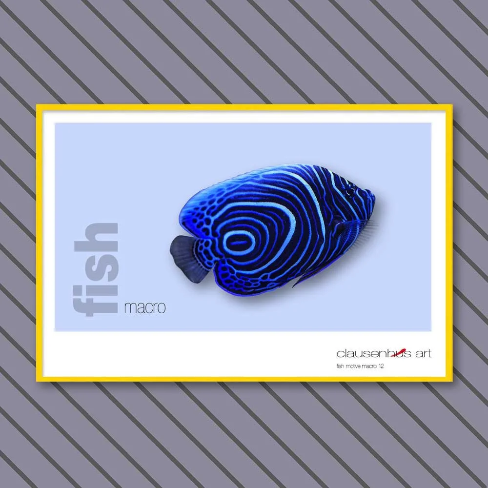 fish 12.jpg