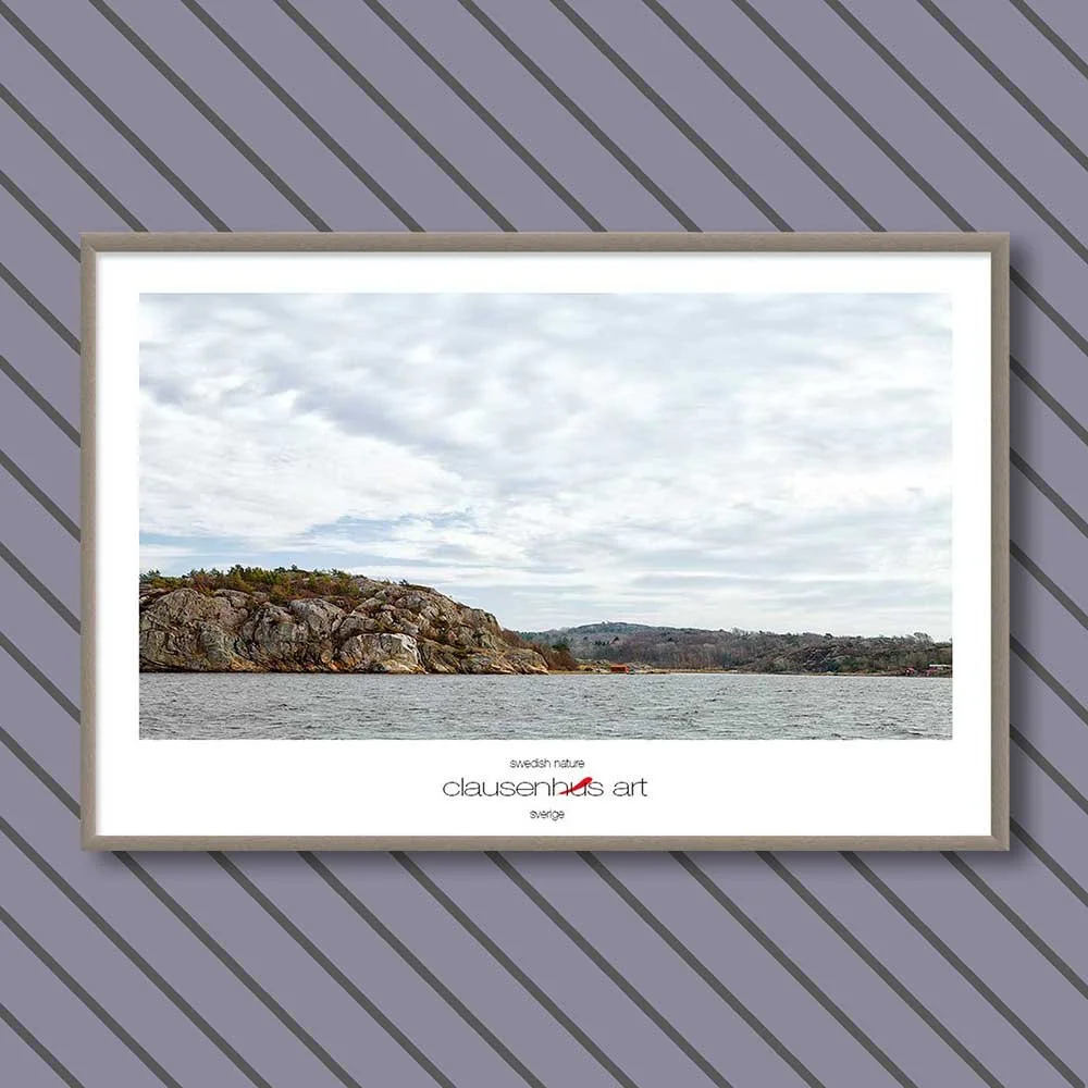 swedish-nature-copy.jpg