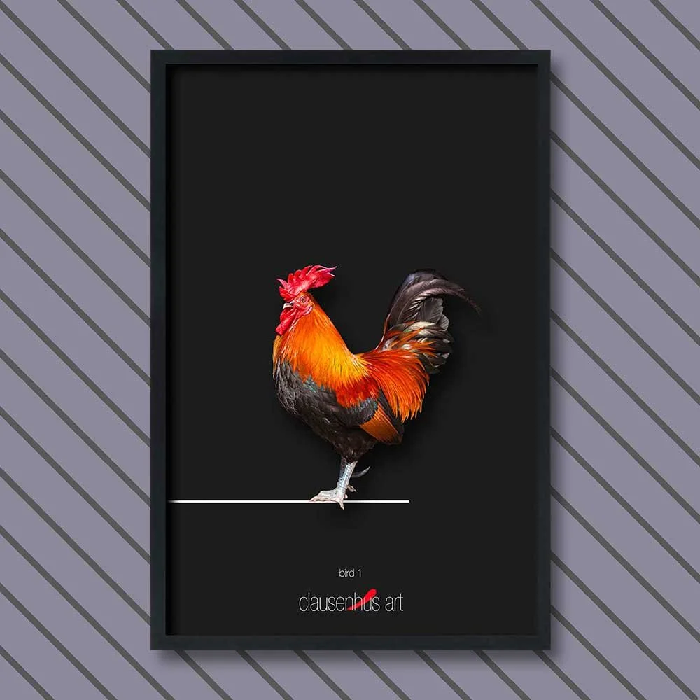bird-1.jpg