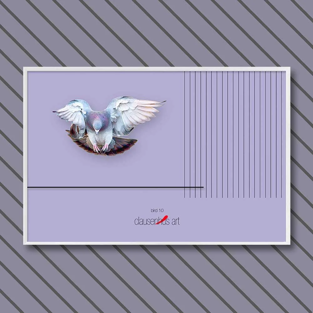 bird 10.jpg