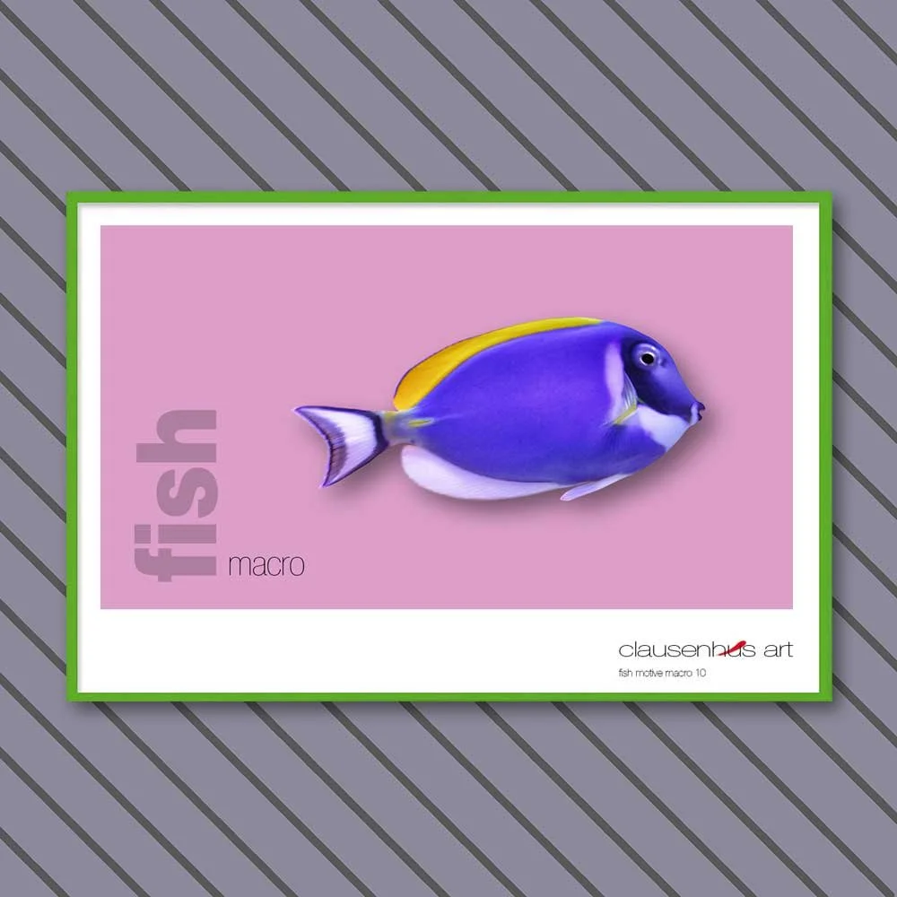 fish 10.jpg