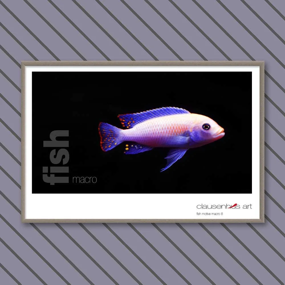 fish 8.jpg