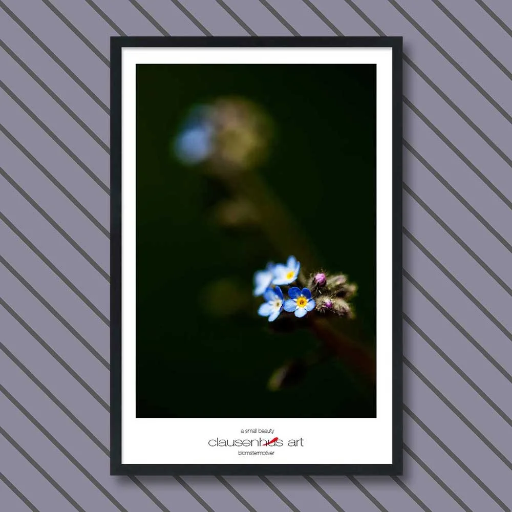a-small-beauty-copy.jpg
