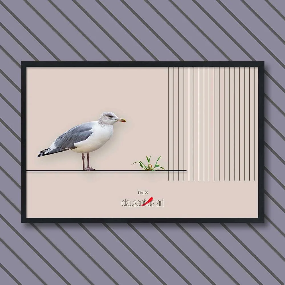 bird-8.jpg