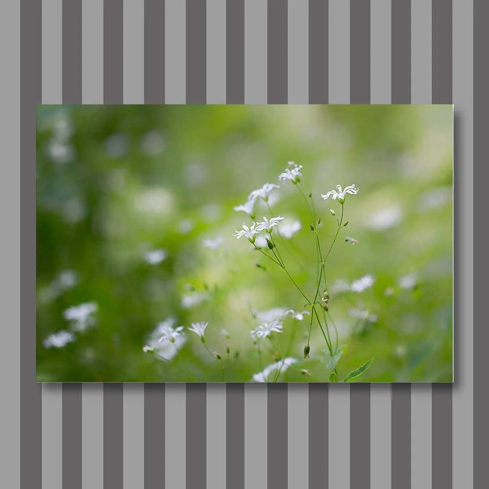 flower veil.jpg