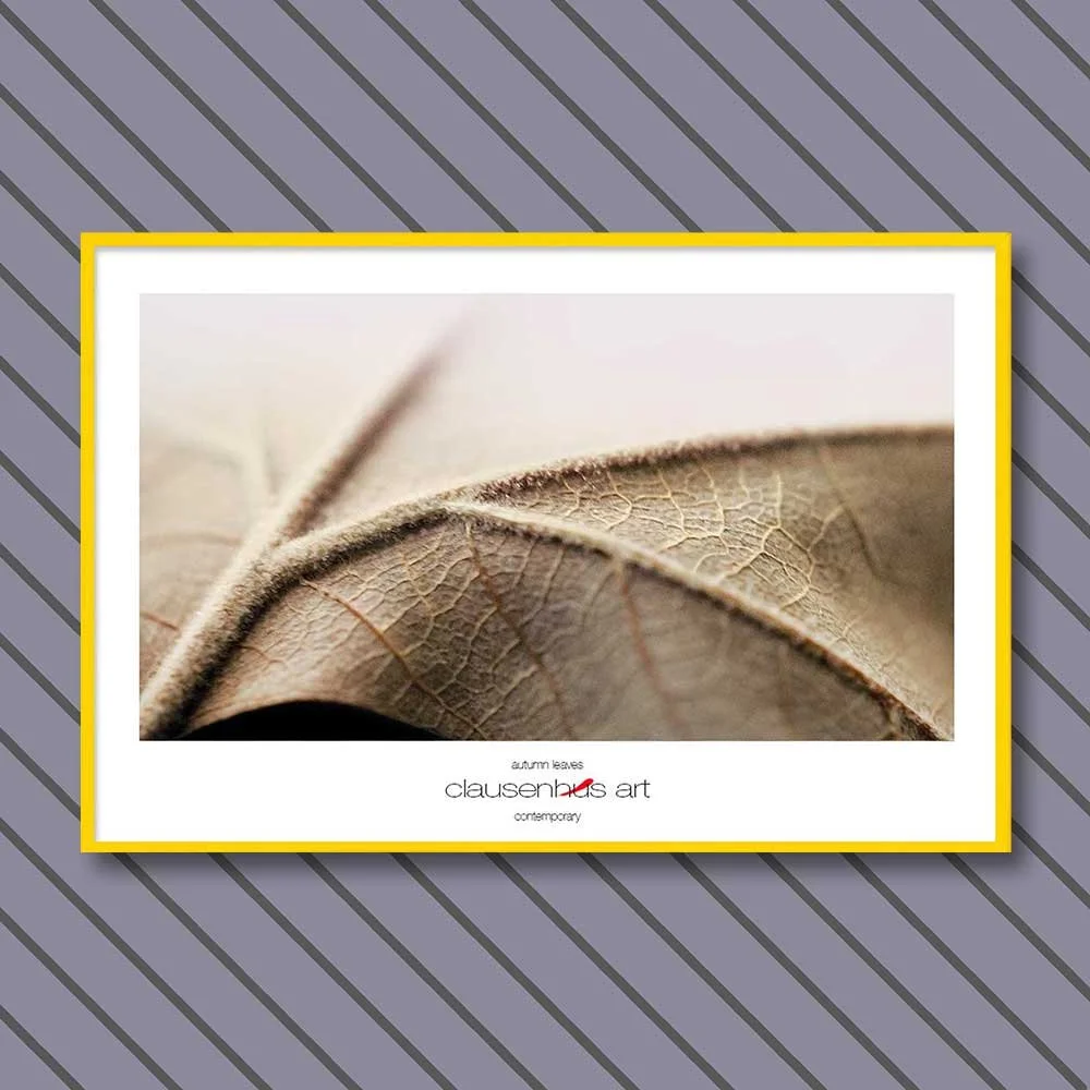 autumn-leaves-copy.jpg