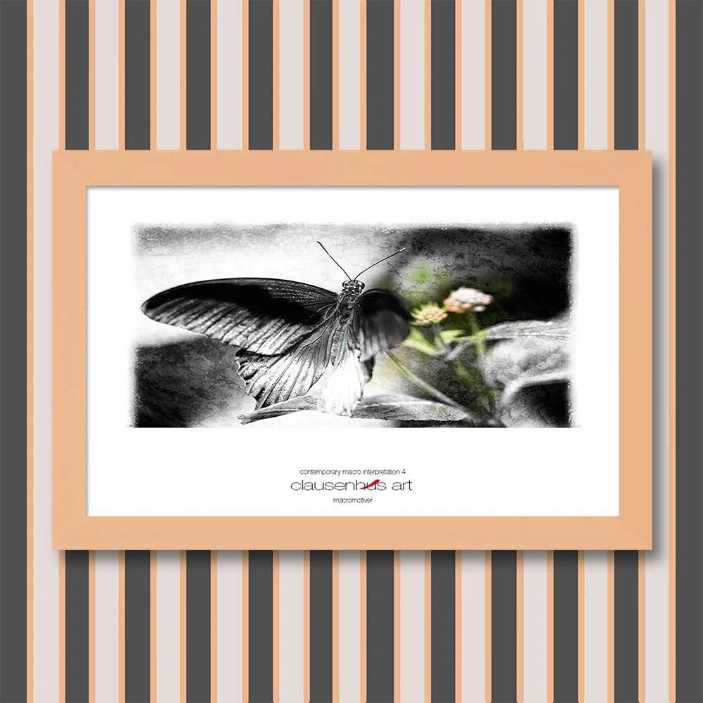 contemporary-macro-interpretation-4-copy.jpg