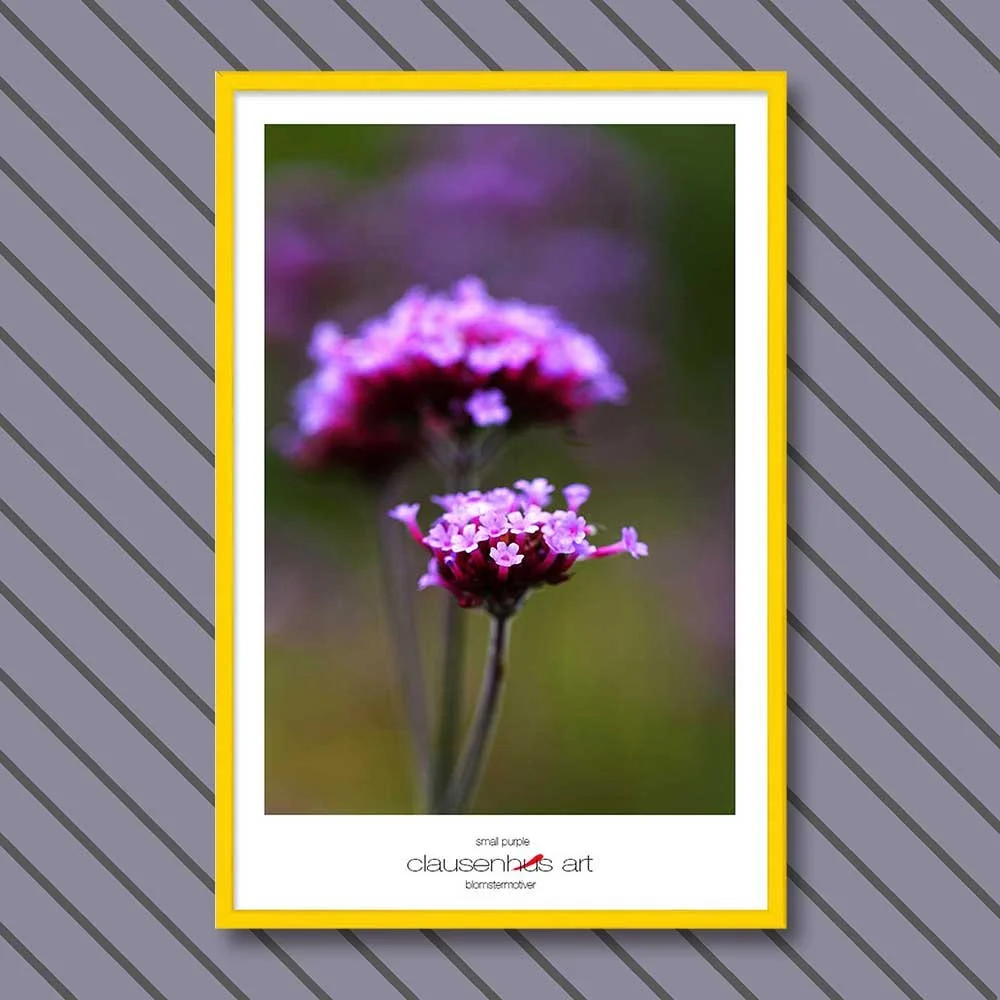 small-purple-copy.jpg