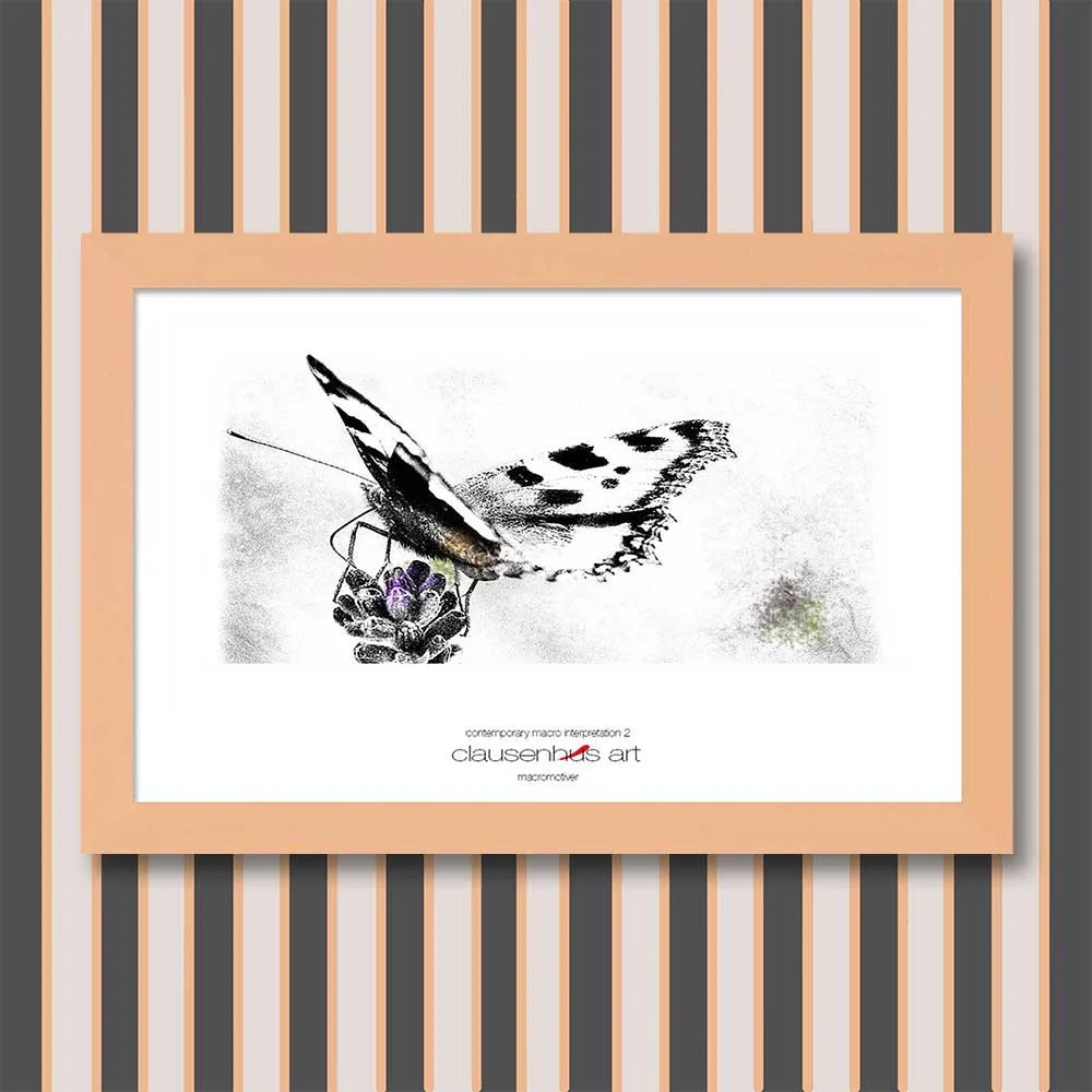 contemporary-macro-interpretation-2-copy.jpg